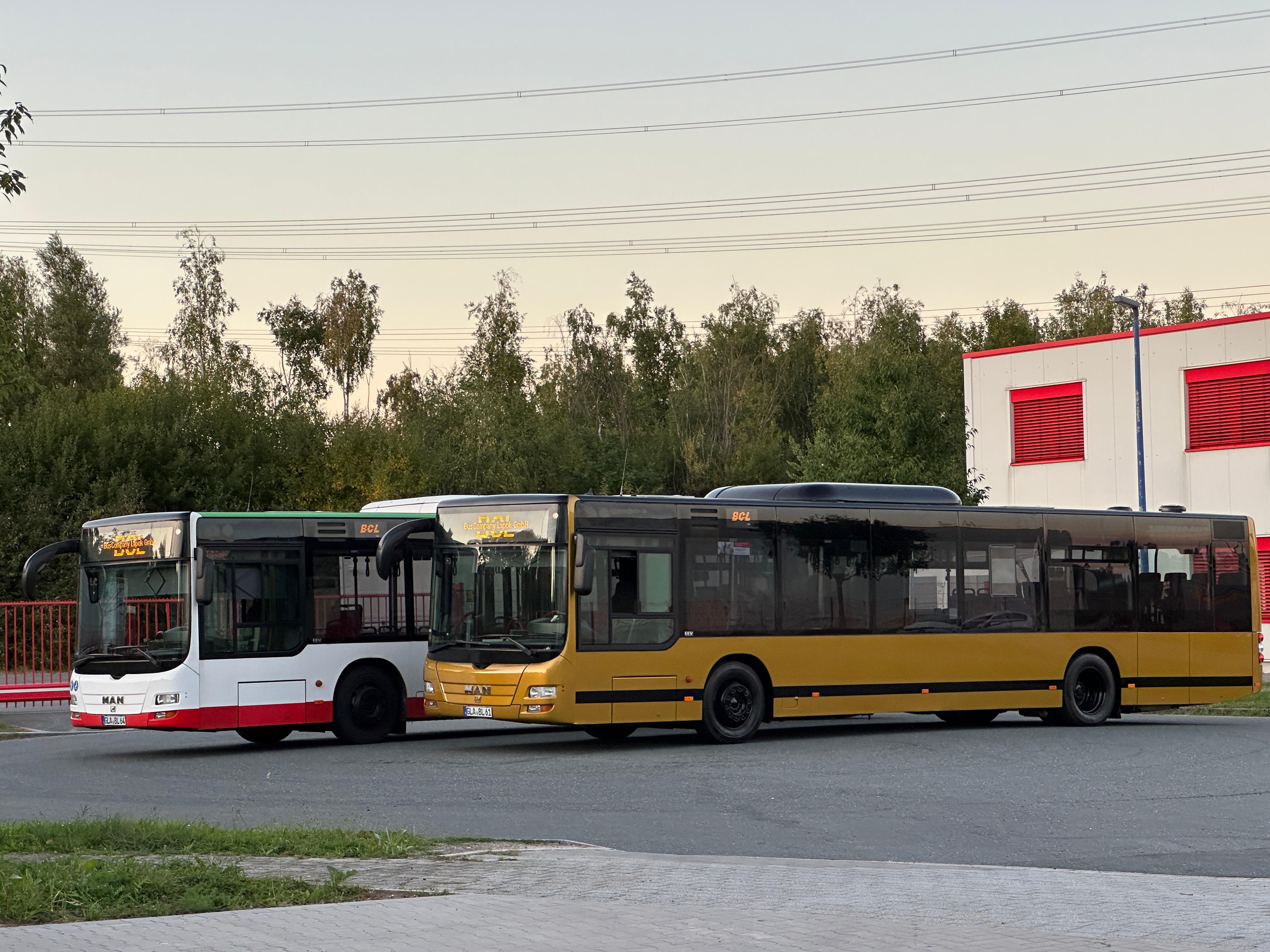 MAN Lion's City A21